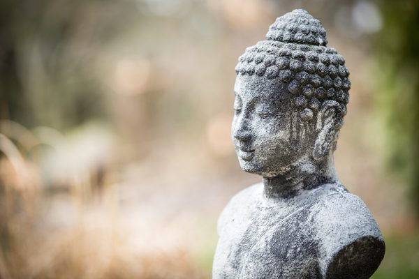 buddha buddha
